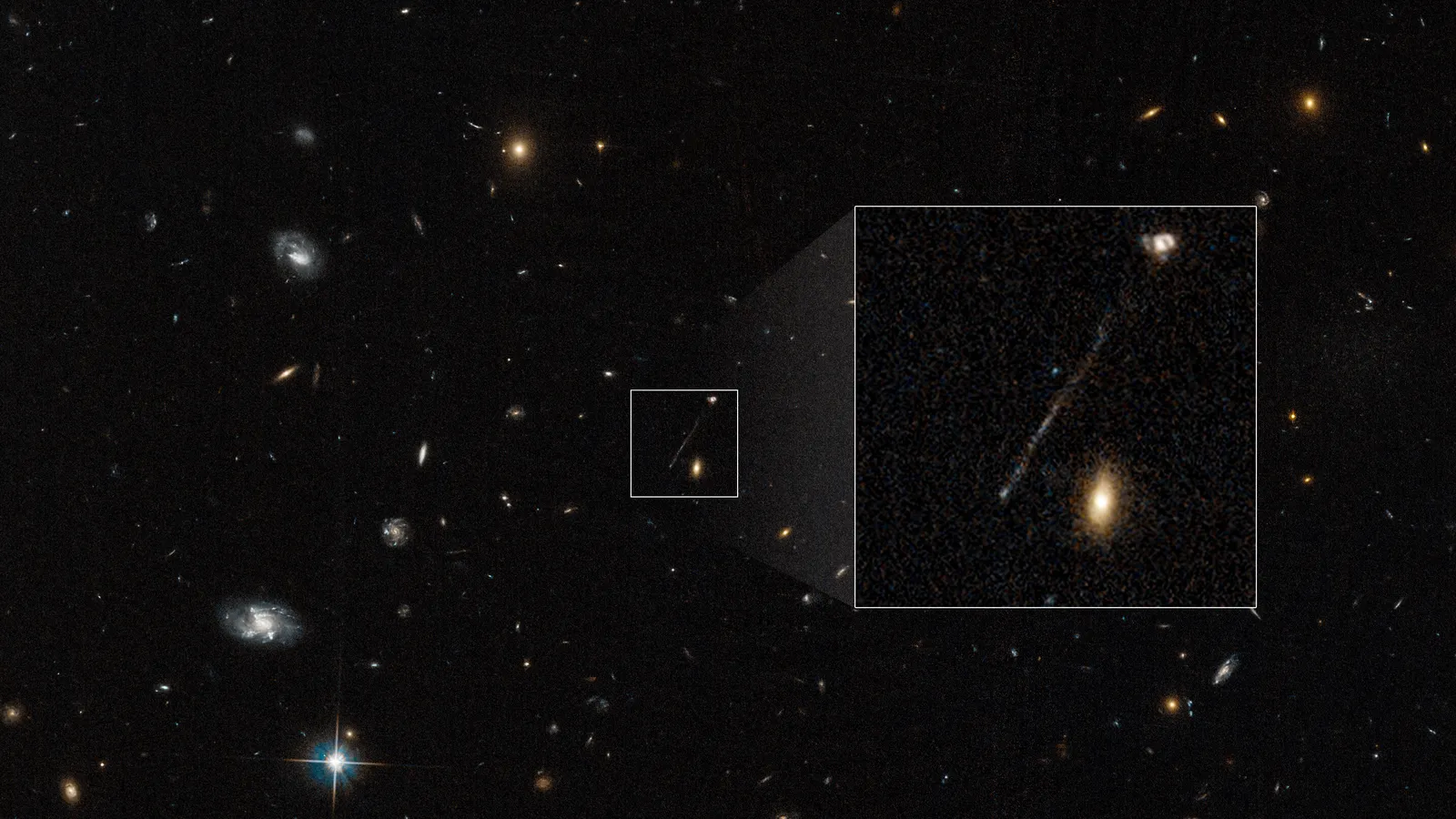 A Dynamical Stress Test for the Physics Behind a Runaway Black Hole's Cold Tail