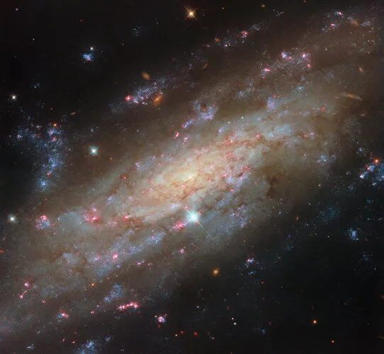 Спіральна сусідка Чумацького Шляху в об'єктиві Hubble