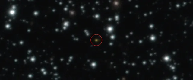 Longest gamma-ray burst explained by star torn apart by black hole