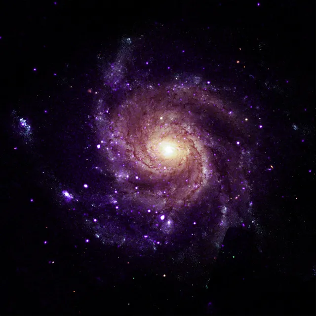 Chandra Spots Strange Objects in the Pinwheel Galaxy