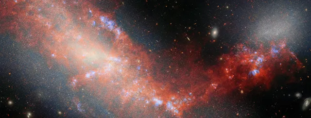 The Dark Fate of Dwarf Galaxies: Collapse From Within