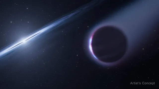 Niobium in Hubble Data Hints at a Second-Generation Planet