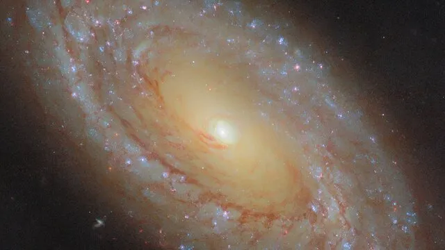 First stars may help seed supermassive black holes