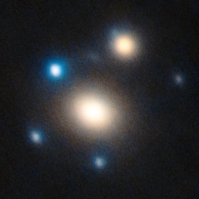 Supernova 2025wny: a lens magnified it 19-fold
